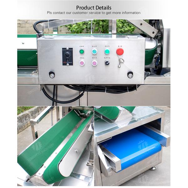 350KG 2.2KW Large efficient wax gourd peeling machine large automatic horizontal wax gourd peeling machine