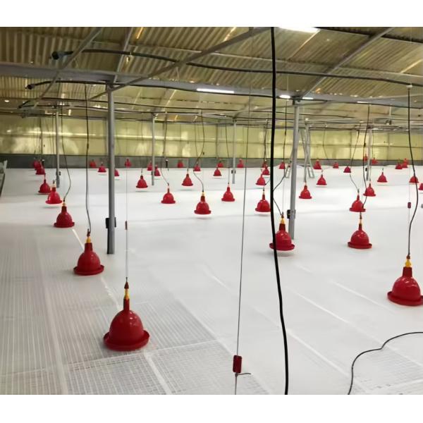 Non Slip Poultry Farm Equipment Plastic Slatted Flooring For Broiler Chicken