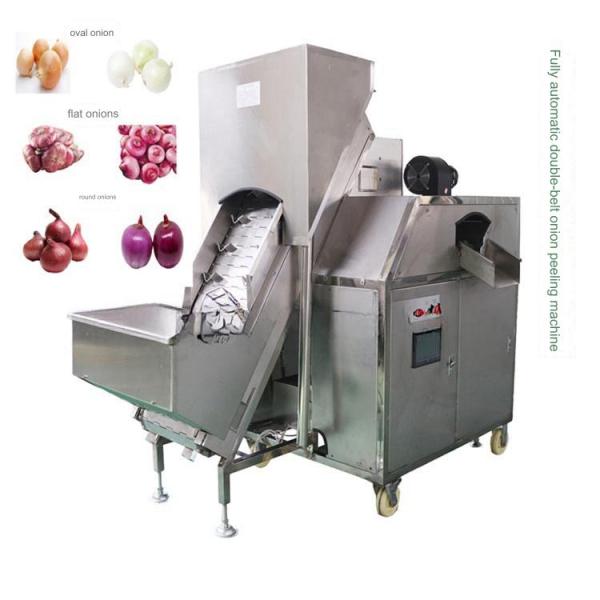 Advanced Onion Garlic Peeling Machine for Processing Types Vegetable Process Equipment