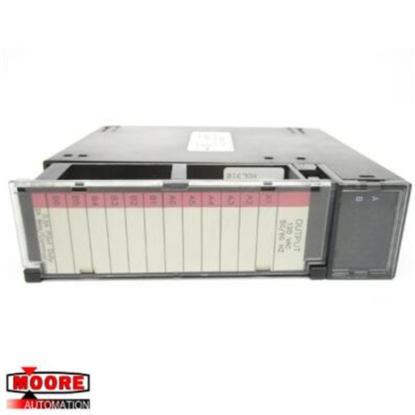IC693MDL310 GE 120V AC 0.5A 12PT Output Module