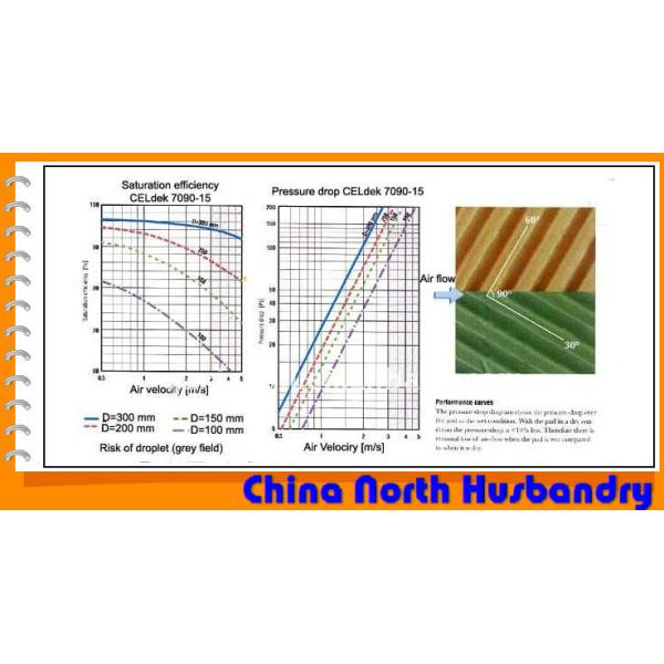 China North Husbandry Greenhouse Ventilation