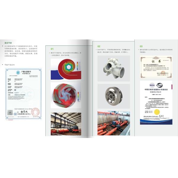 High-Efficiency East Dfss Double Suction Industrial Booster Pump