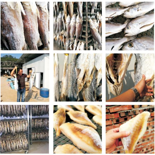 Economical Export Type Small Size Constant Temperature Dryer Fruit Drying Oven