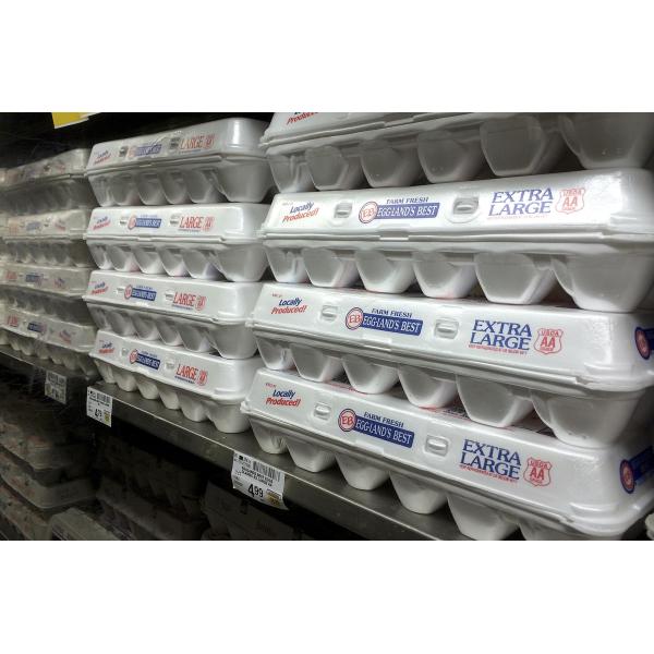 High Speed Take Away Lunch Box Making Machine / PS Foam Sheet Extruder