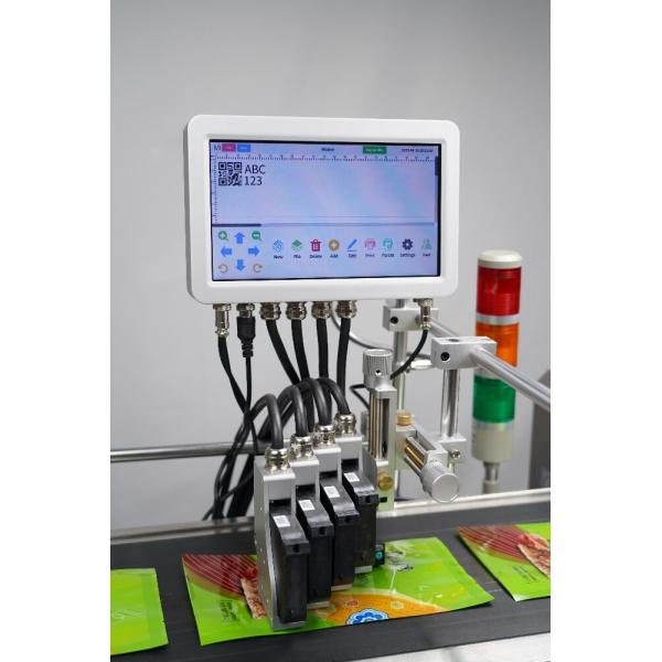 Multi Language 10 Inch Online Qr Code Batch Code Inkjet Print Machine with Easy Operation