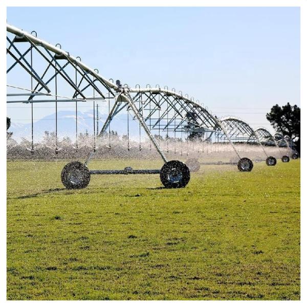Maize Direct Supply Large Scale Farming Center Pivot Irrigation Machine Systems with 168 cm Diameter and Ha at Restaurant