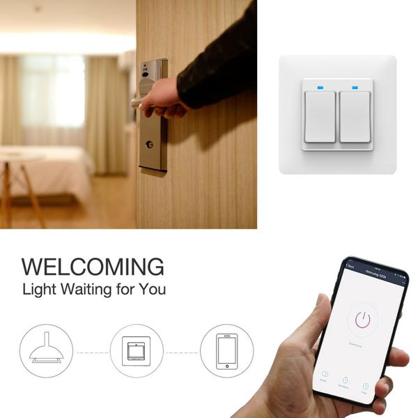WIFI 2 Gang Smart Switch No Neutral