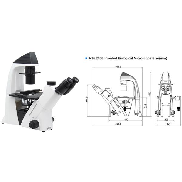 Trinocular Transmit Light Inverted Optical Microscope WF10x/22mm Eyepiece