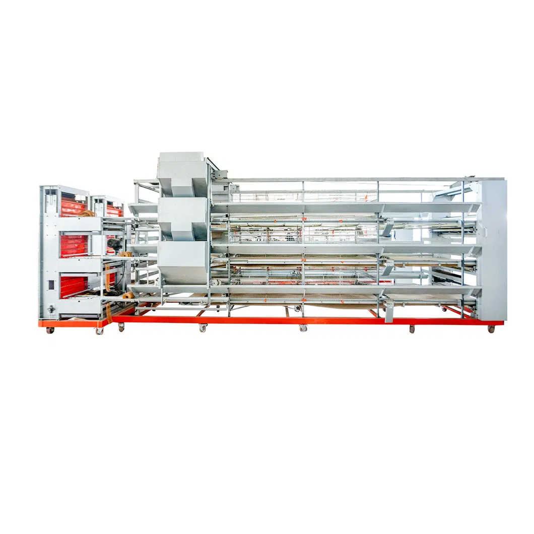 Customized H Type Layer Cage Automatic Poultry Chicken Layer Cage Galvanized Structure