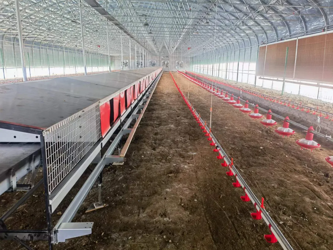 Poultry Farming Automatic Egg Nesting Box Labor Saving For Floor Raised Layers