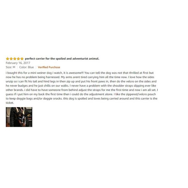 OEM Convenient Polyester Dog Carrier Backpack