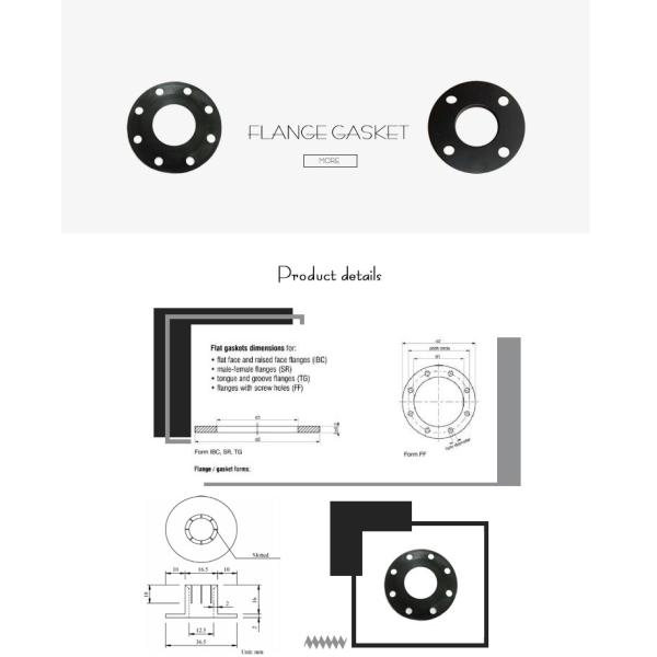 316SS Ring Joint Gasket