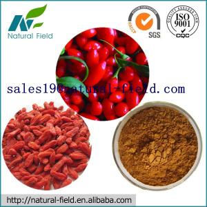 China manufacture Wolfberry Extract 40%&50% with factory price on sale
