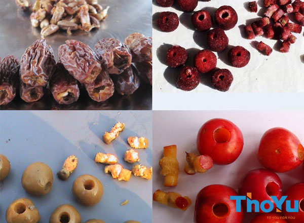 Auto Hawthorn Ajwa Dates Pitting Machine Fruit Pitting Machine