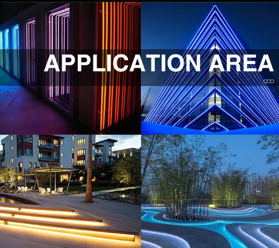 Customized Flexible Neon LED Light Strip Indoor Ceiling Landscape Application Various Colors Built-in Silicone