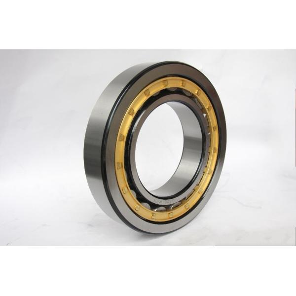 SL045032 PP NNF 5032 ADA-2LSV Full Complement Roller Bearings Double Row