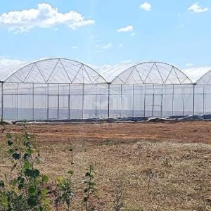 China Year Round Nursery Hothouse Automated Dome Green House Modular Multispan Tunnel Greenhouse on sale