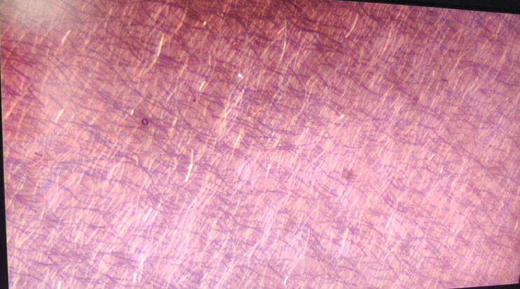 MX4R Ergonomic Metallographic Microscope with chromatic aberration correction optical system