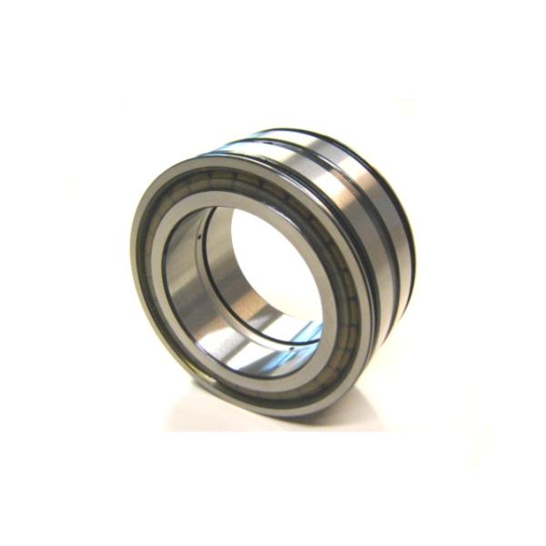 SL04 5005 SL045005-D-PP Full Complement Cylindrical Roller Bearing Sl Types