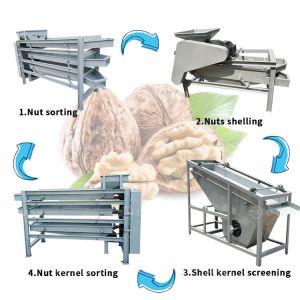 Nut Processing Apricot Kernel Cracking Shelling Machine Almond Shell Separating