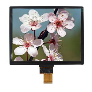 Quality MIPI Practical OLED Display Module , Multifunctional OLED Touch Panel for sale