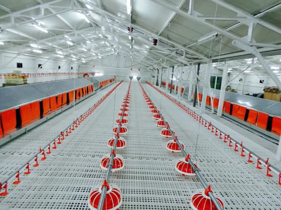 Precise Control Smart Automatic Nipple Drinking System For Poultry And Animal Farming