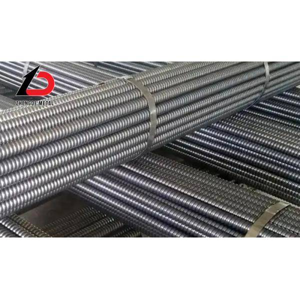 Standard/Customized Steel Formwork Construction Fasteners Anchor Rod