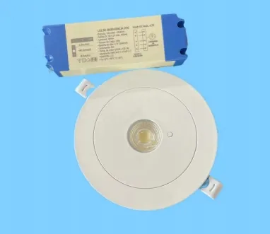 Panel Down Light LED Panic Emergency Escape Exit Sign Light IP65 Battery Backup Rechargeable Public School Hospital White