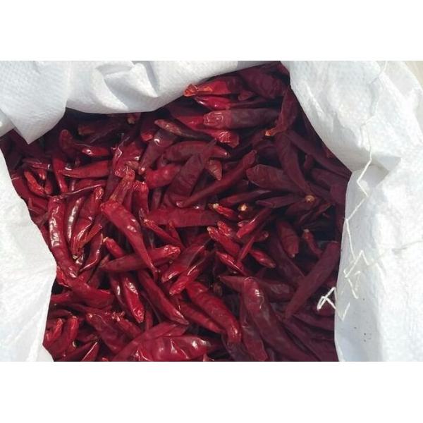 Zero Additive Red Bullet Chilli Sterilized 4CM Dehydrating Chillies