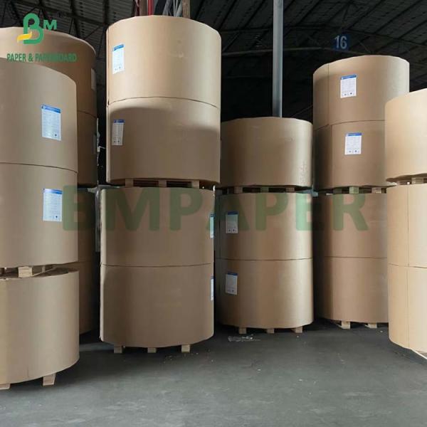 50G Crepe Texture Bleached or Unbleached Disposable Coffee Filter Paper