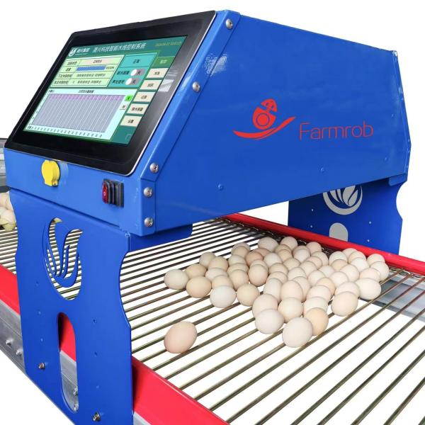 Integrated Control Smart Poultry Farming Platform Improve Farming Efficiency Reduce Operating Costs