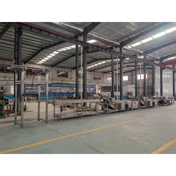 Industrial Automatic Dry Fruit Washing Drying Sorting Waxing Machine
