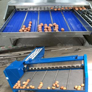 Electronic Power Source Multifunction Egg Sorting Grading Machine for Chicken