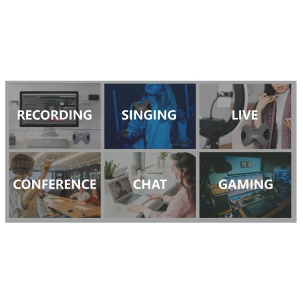 797AUDIO Auras USB Digital Microphone High Sampling Rate with 2pcs Capacitor Pickup Heads Wireless Microphone Singing Microphone