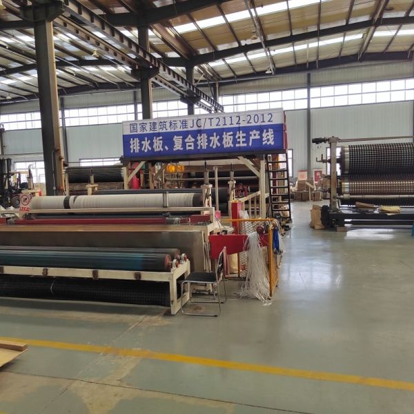 Durable HDPE Plastic Drainage Board Foundation Reinforcement Drain System