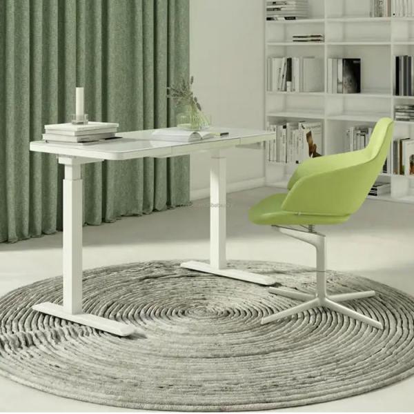 Multi-Function Adjustable Table Electric Motor Lifting Sit Stand Desk for School