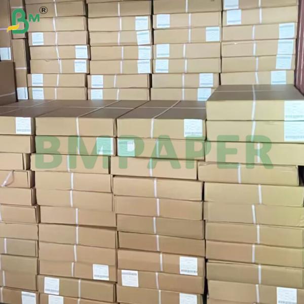 20lb Engineering Double Side Blue Plotter Paper Rolls 610mm X 100m
