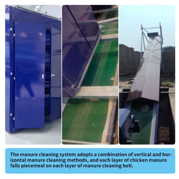H Type Automatic System Chicken Cage layer Poultry Farming Equipment