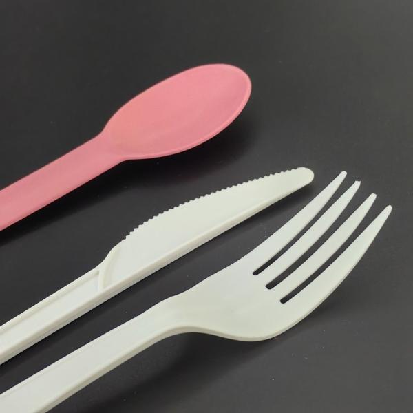 PLA Composable Customized Spoons Fork Knife For Ice Cream Shops