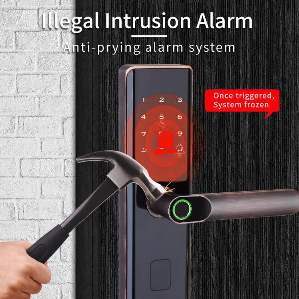 RoHS Tuya Smart Fingerprint Door Lock With Password Memory Card