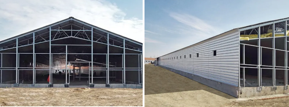 Fast Installation Hot-Dip Galvanized Light Steel Structure Chicken Coop with Customizable Dimensions