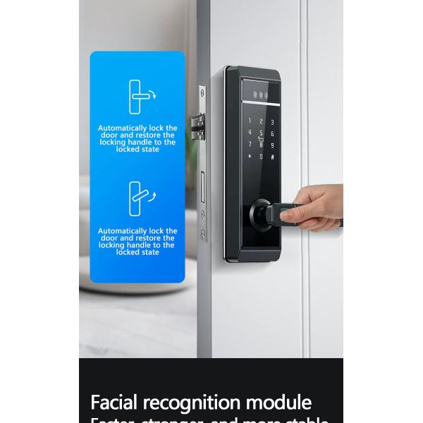 Qleung S810max Smart Home Lock With Card Code Key Fingerprint Palm Password Multi-unlock Ways