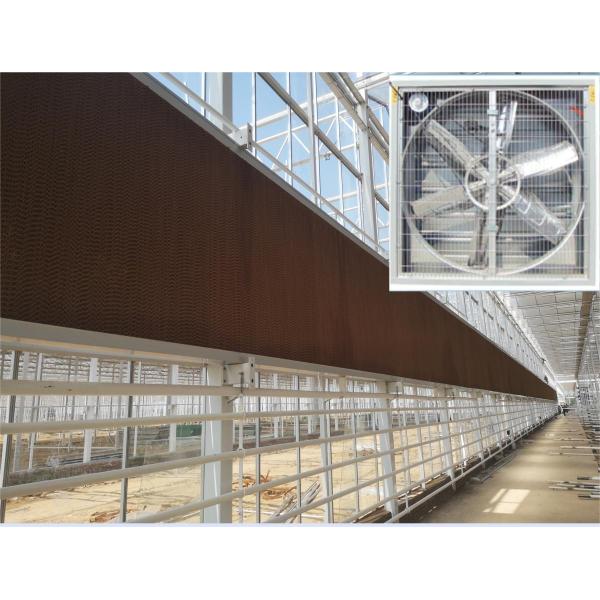 Stable Structure Agricultural Multi Span Greenhouse 30-100m Length