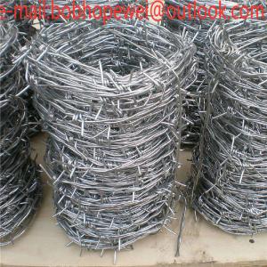 Quality babred wire fence hardware/barbed wire fence drawing/barbed wire fence around house/barbed wire cost/barbed wire design for sale
