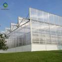 Garden Transparent Exhibition 10mm PC Sheet Greenhouse for sale