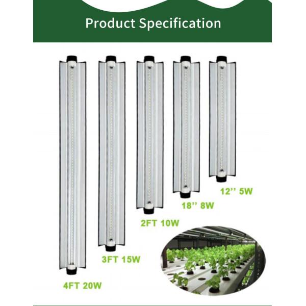 50000H Hydroponics LED Grow Lights