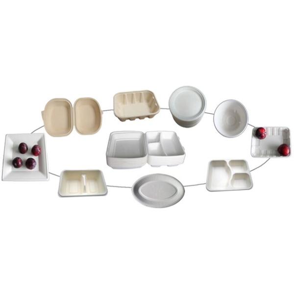 High Grade Dishware Tableware Pulp Molding Equipment Fully Automatic