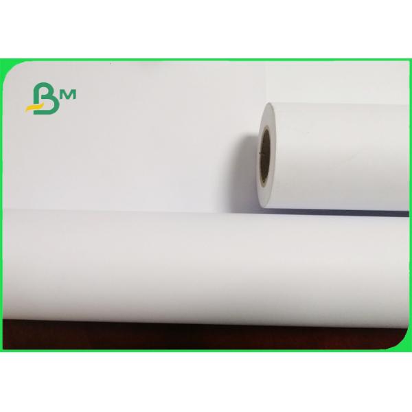 Smooth Surface Plotter Paper Roll For Fruit Packing 45gsm - 80gsm