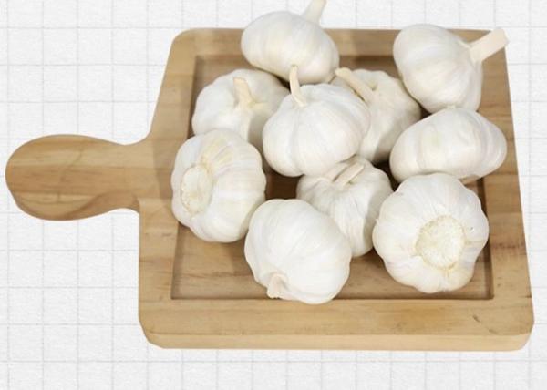 Buy 10kg Carton 6.5cm Chinese White Garlic at wholesale prices