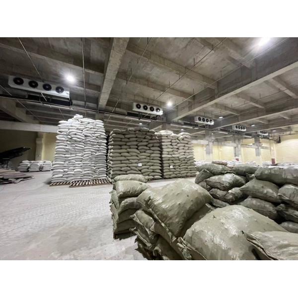 BITZER Compressor Energy Efficient Cold Room for Frozen Products